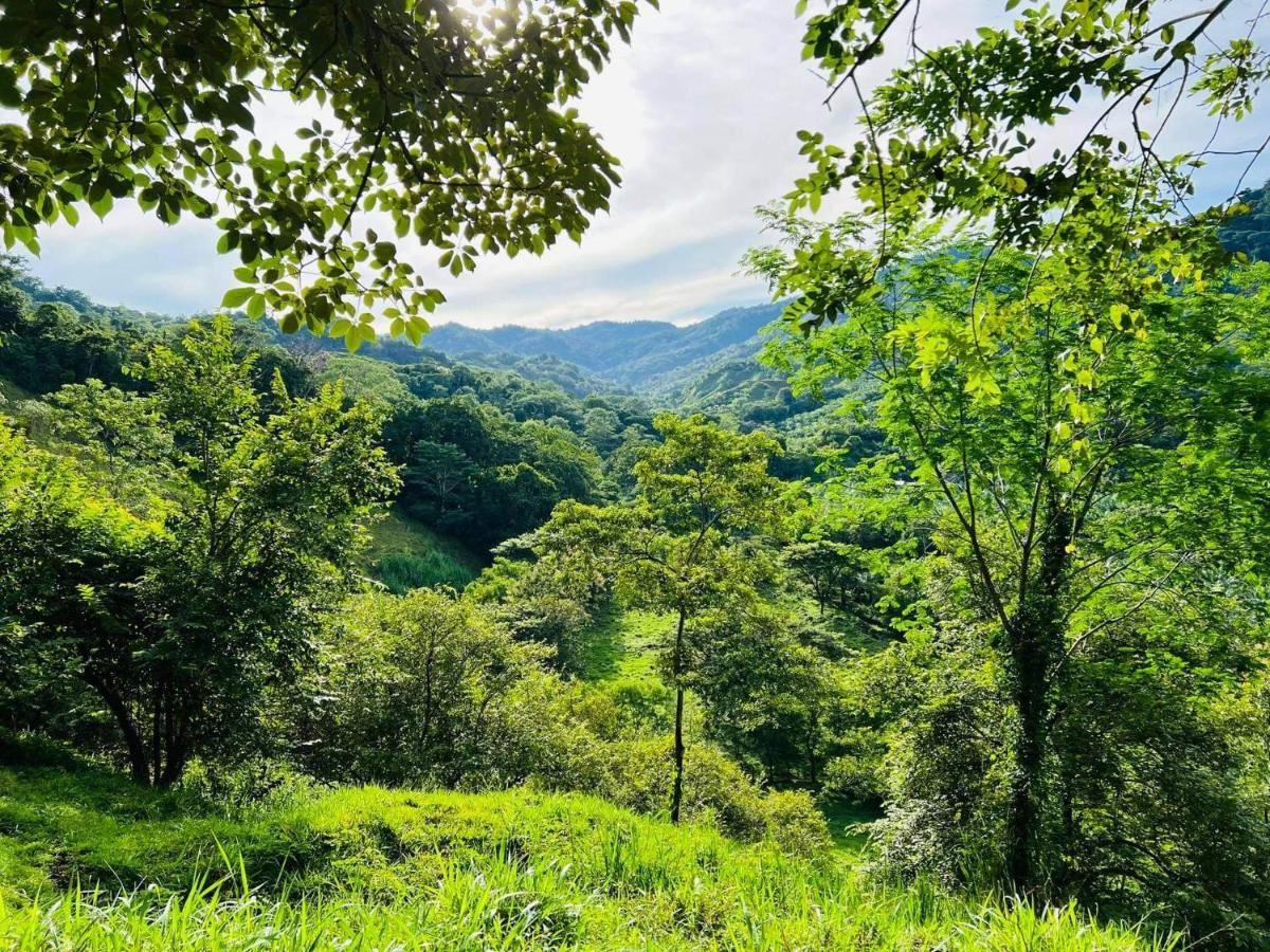 Cabana Tolle Vista Savegre Bagian luar foto